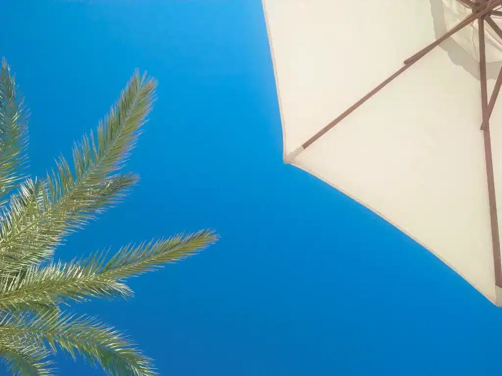 A parasol and a palm tree on a beach in Marbella